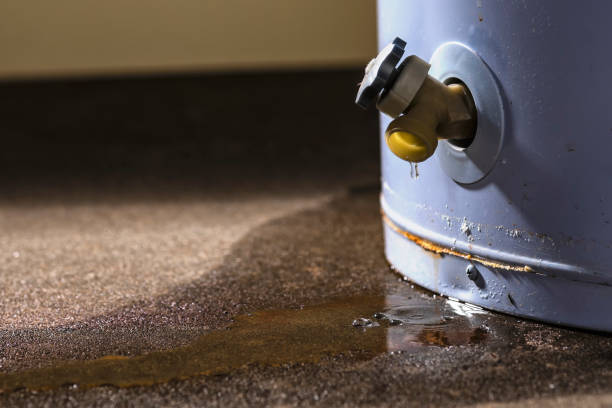 Best Basement water damage restoration  in Bishop, TX