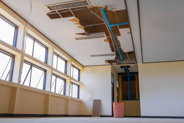 Best Water damage restoration near me  in Bishop, TX