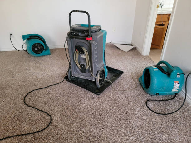 Best Local water damage restoration  in Bishop, TX
