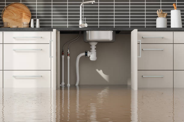 Best Basement water damage restoration  in Bishop, TX